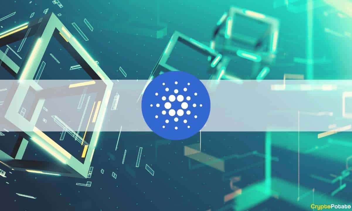 AgeUSD to Launch as First Stablecoin on Cardano Network
