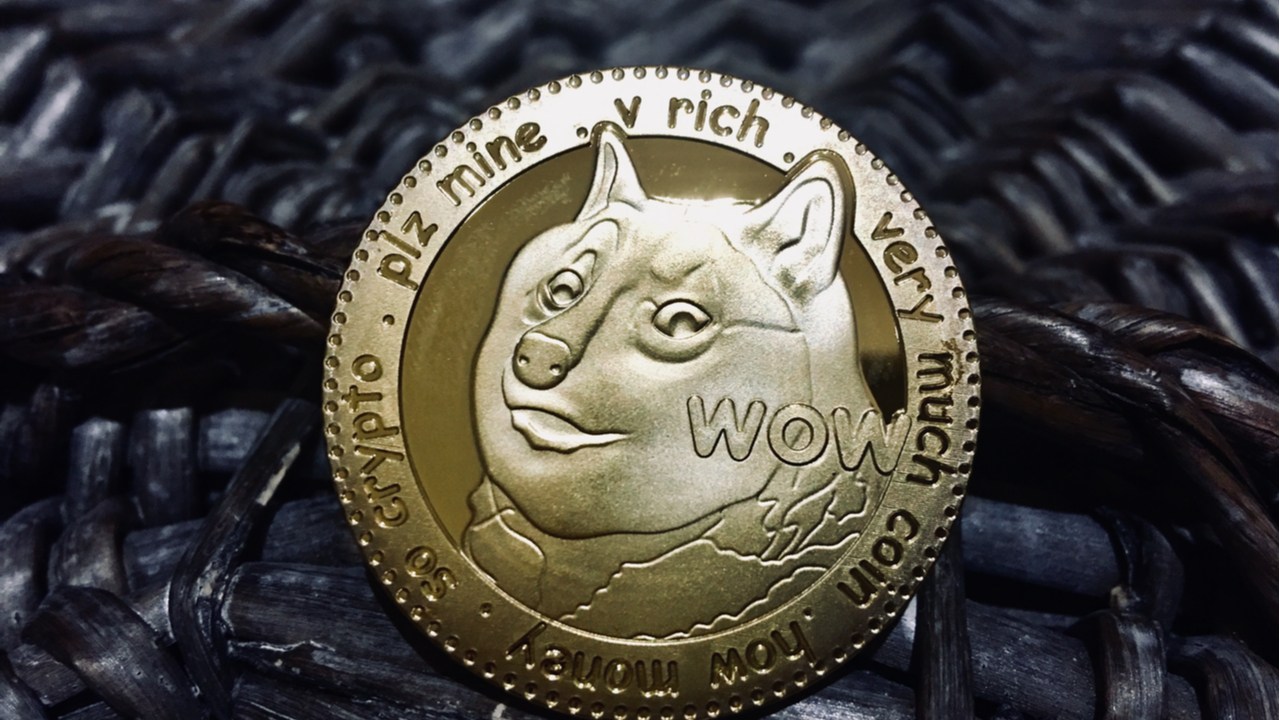 Anonymous Dogecoin Holder Donates Profits to a Dog Shelter in Florida