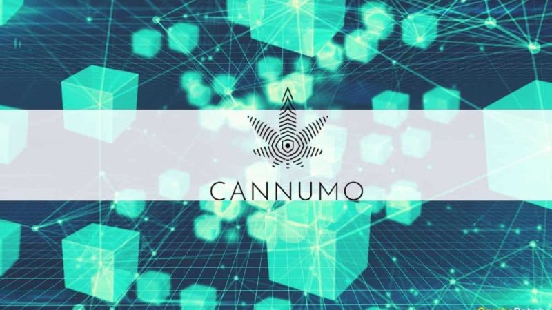 Cannumo Bridges the Worlds of Crypto and Cannabis 