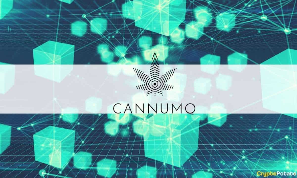 Cannumo Bridges the Worlds of Crypto and Cannabis 