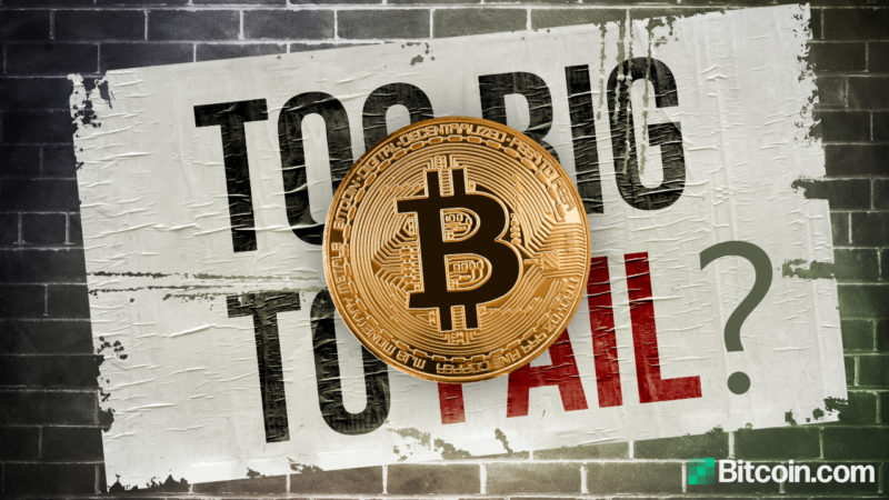 Economist Says Bitcoin Isn’t Too Big to Fail — Warns BTC Can Only Establish Itself if Governments Allow It