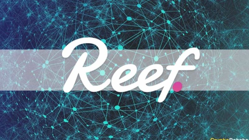Reef Finance’s Schedules Mainnet Release for May, Promises Polkadot Integration