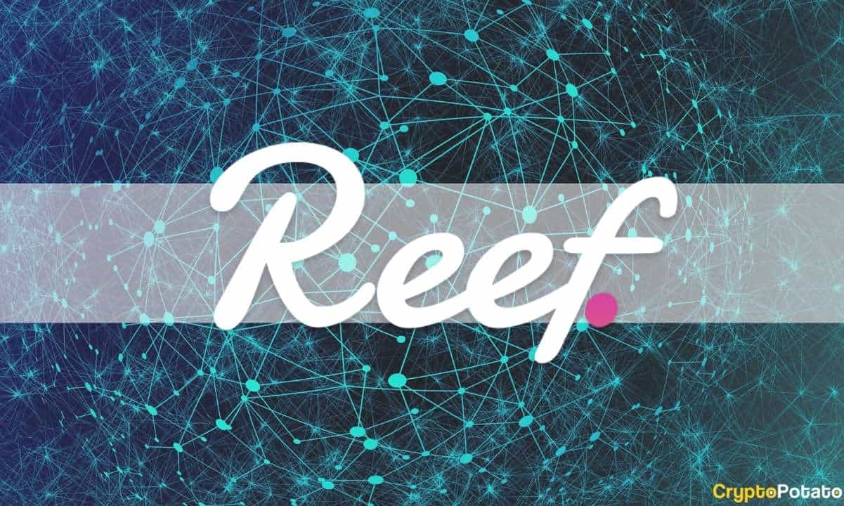 Reef Finance’s Schedules Mainnet Release for May, Promises Polkadot Integration