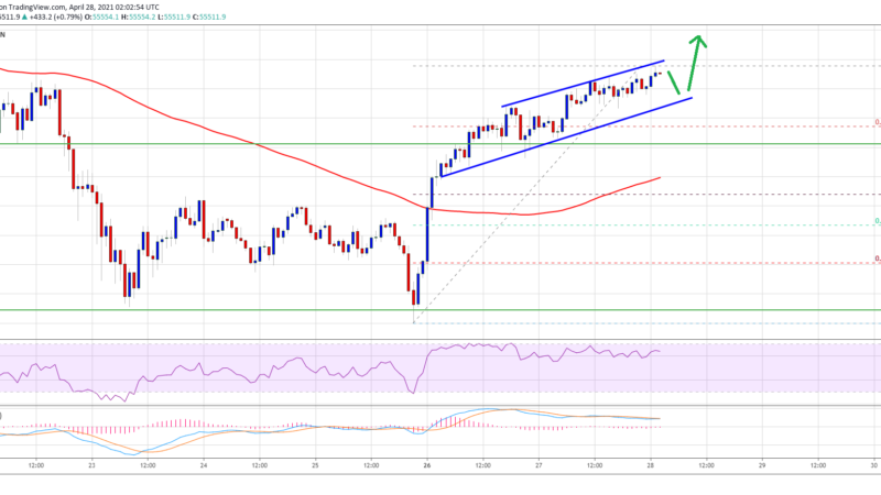 TA: Bitcoin Price Gains Traction, Here’s How BTC Could Revisit $60K