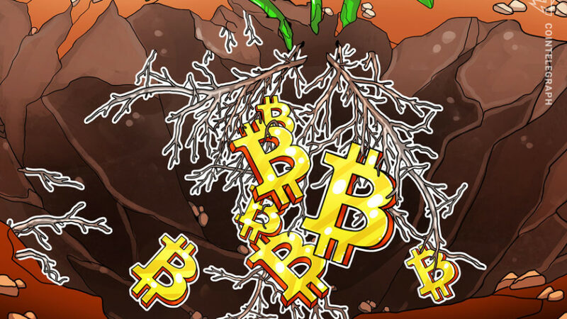 Bitcoin’s upcoming Taproot upgrade and why it matters for the network