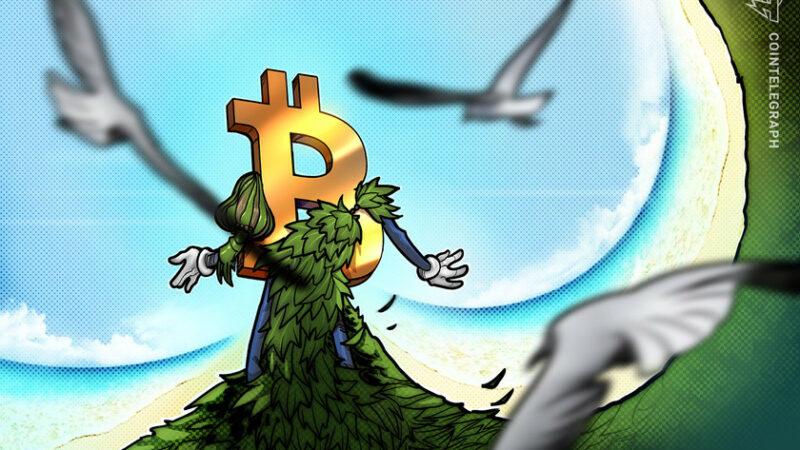 Carbon-neutral Bitcoin funds gain traction as investors seek greener crypto