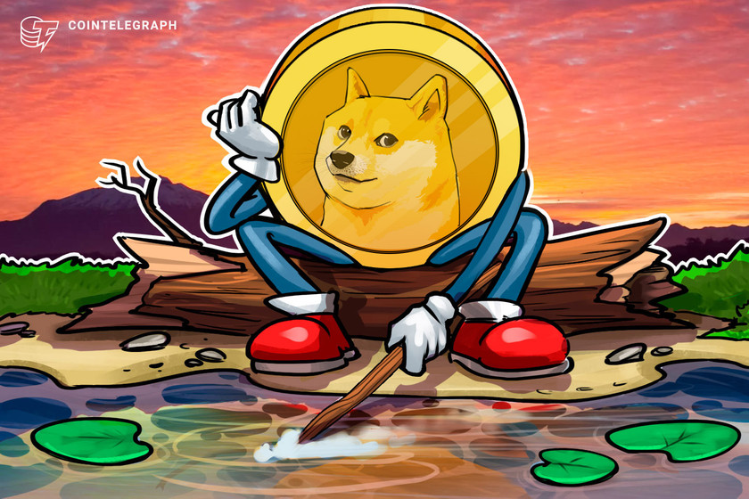 Dogecoin price dumps, but whodunnit? Whales, institutions or retail traders?