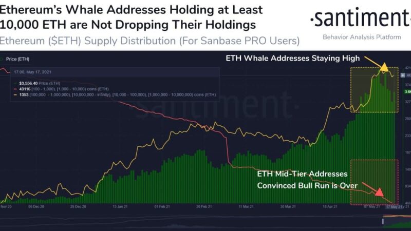 Ethereum Whales Refuse to Sell Despite ETH’s Plunge to $3,100