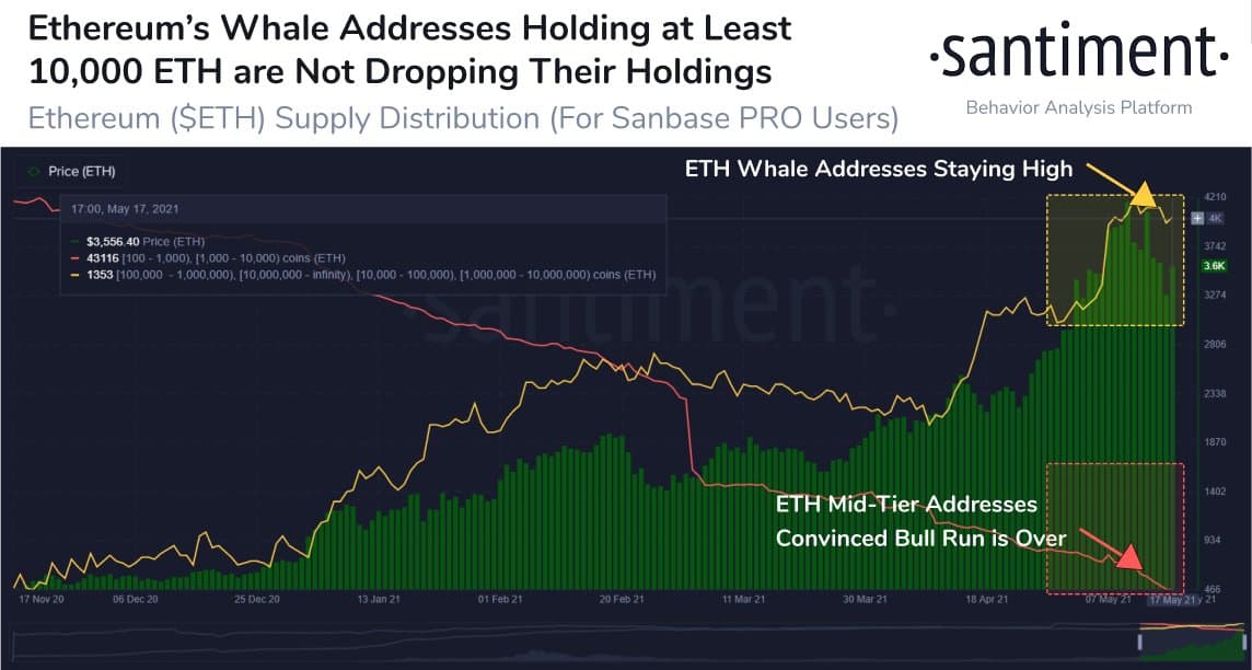 Ethereum Whales Refuse to Sell Despite ETH’s Plunge to $3,100