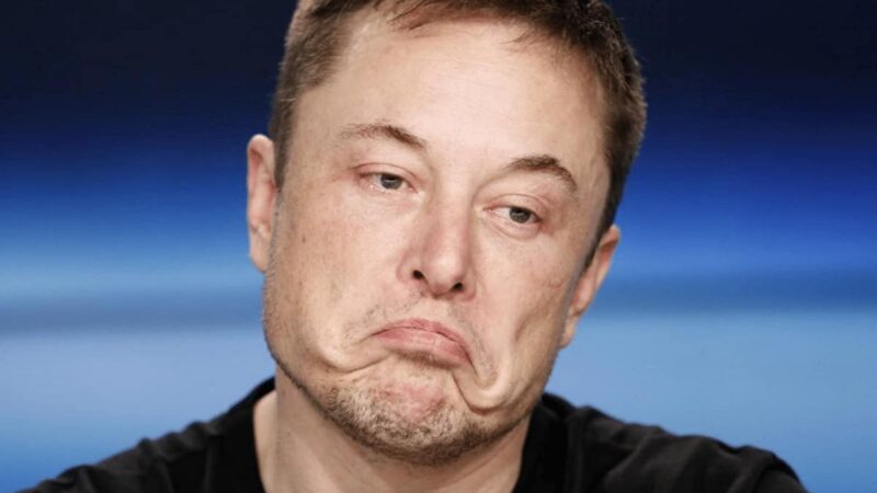 McAfee’s Fiancee: Elon Musk Has Moved Crypto Markets Greater Than John