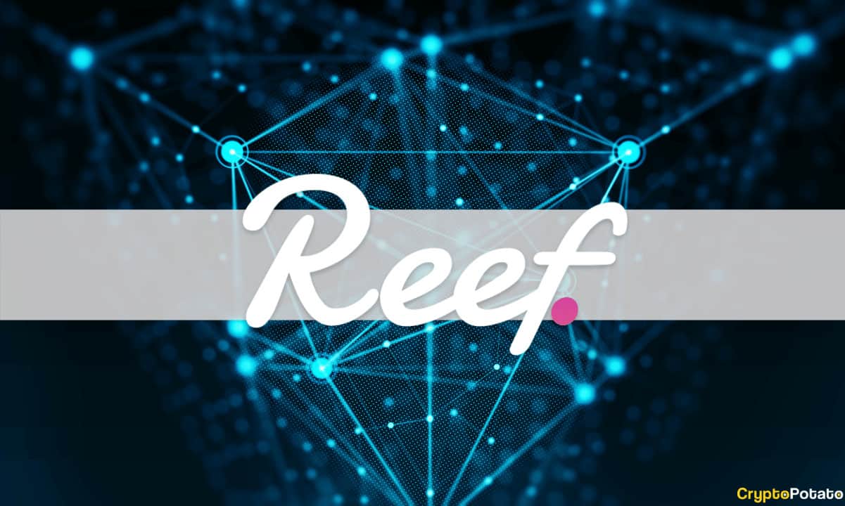 Reef Finance Launches its IDO Platform Called ReefStarter