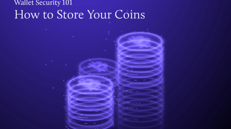 Wallet Security 101 – How To Store Your Coins