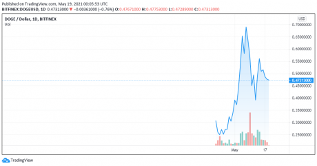 What Elon Musk’s Vision Of The Dogecoin Moon Could Look Like