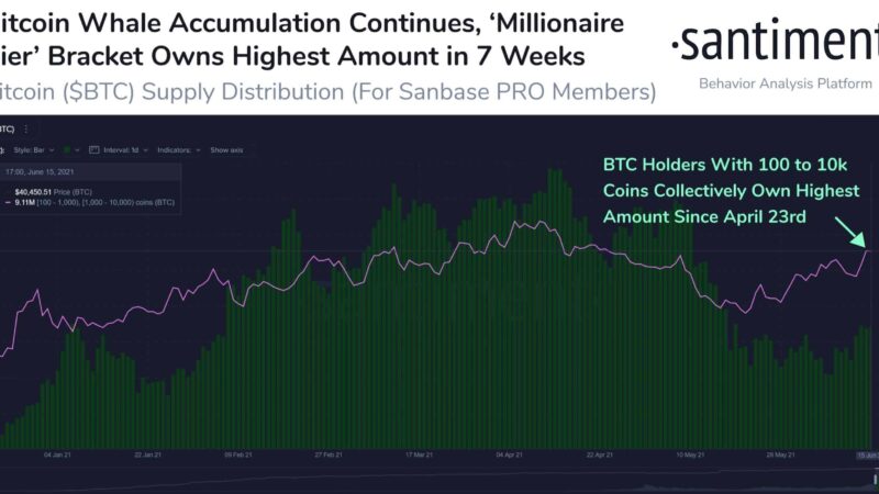 Bitcoin Buying Spree: Whales Purchased 90,000 BTC in 25 Days