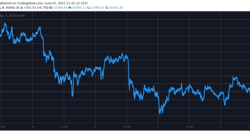 Bitcoin Stands Still Around $36,000, Solana Soars 10% (Market Watch)