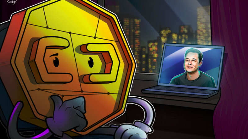 Elon Musk the hero crypto deserves, but maybe not the one it wants, says exec