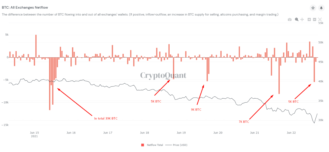 Following The Dump Below $30K Bitcoin Whales Accumulating: Analysis