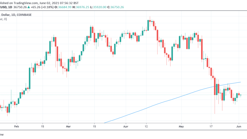 Here’s Why The Bitcoin Bull Run Isn’t Done Yet