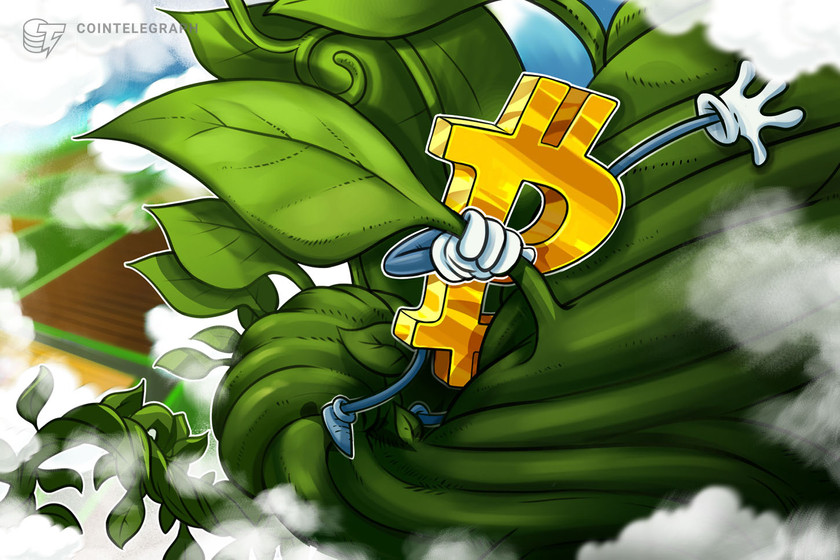 Small countries are punching above their weight in terms of Bitcoin gains