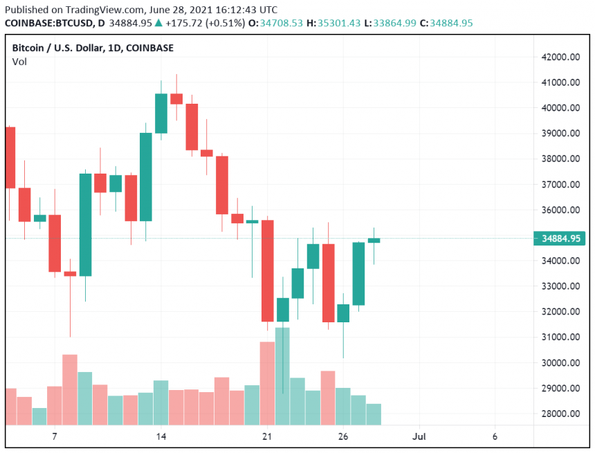 Top English Cricketer Kevin Pietersen Acknowledges Bitcoin (BTC)
