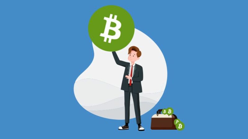 What is Bitcoin Cash? (BCH) – A bitFlyer Academy Guide for Beginners