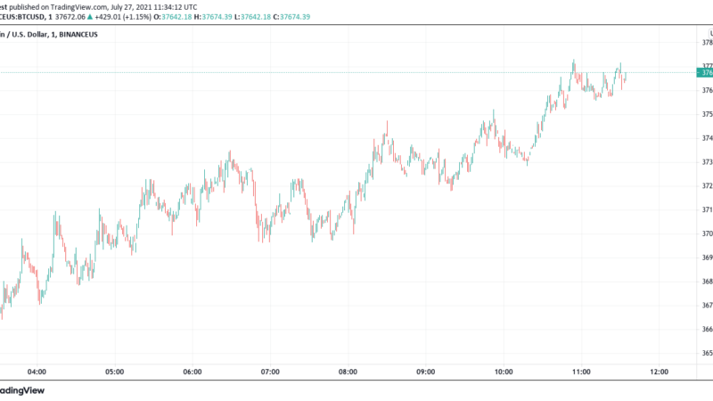 Bitcoin Price Drops $1,000 In 12 Hours After Amazon Dispels Bitcoin Integration Rumors