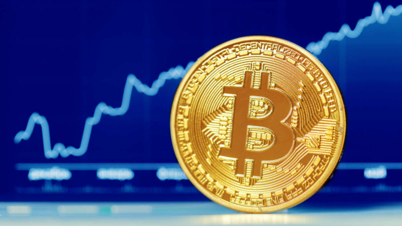 BTC Price Dips Before Catapulting to New Highs! Institutional Entities Amp up Their Holdings