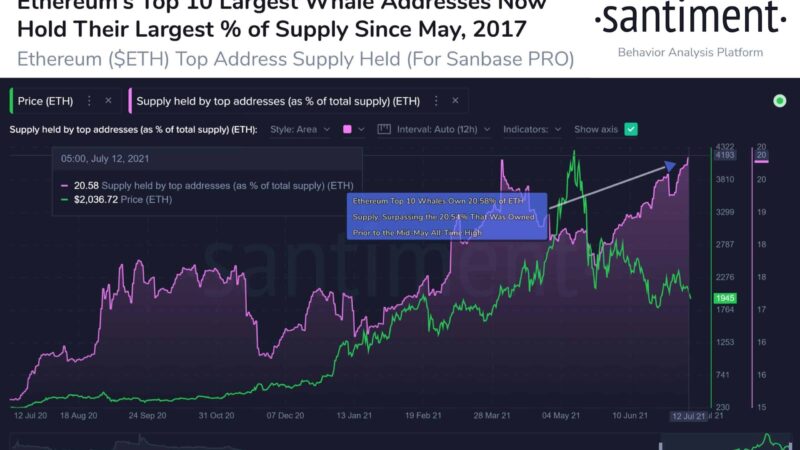 Buying Spree: The Top 10 Ethereum Wallets Now Own 20.58% of ETH’s Supply