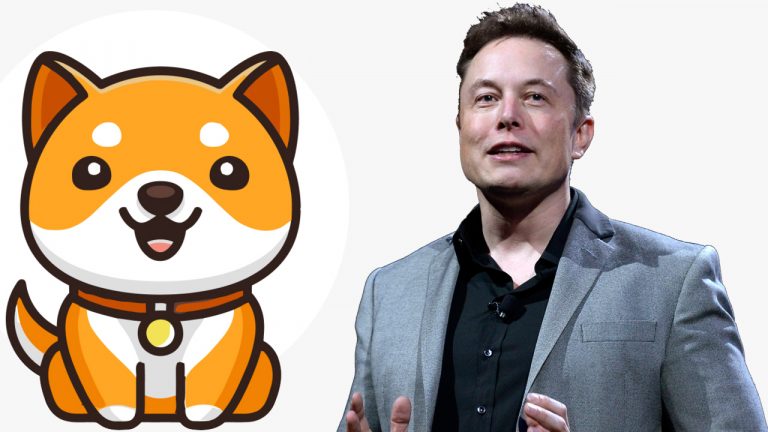 Elon Musk Tweet Sends New Baby Doge Coin Soaring — Meme Token’s Daily Gains Jump 228%