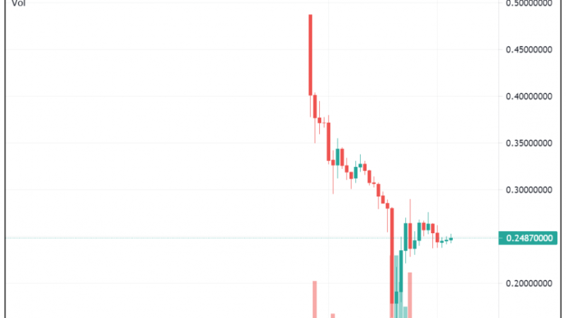 Elon Musk’s “Baby Doge” Tweet Spikes The Dogecoin Price