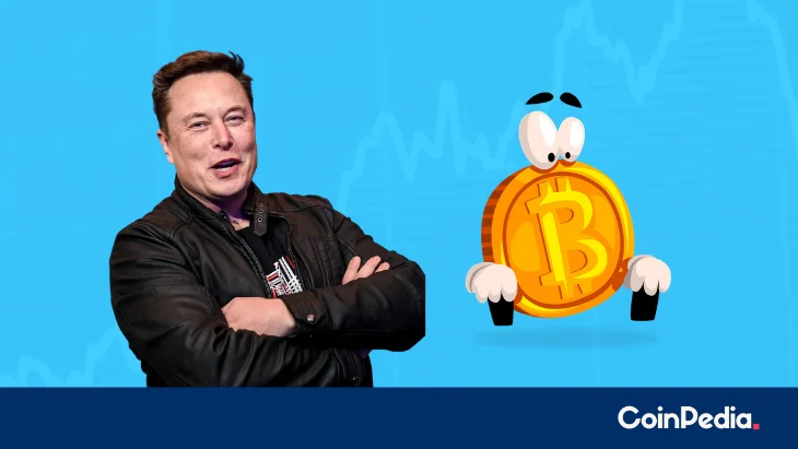 How Many Bitcoin Does Tesla Hold? Musk Reacts Towards a Rough Calculation on Twitter!