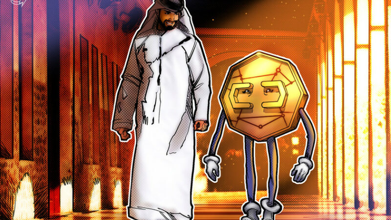 UAE to experiment and launch an in-house digital currency