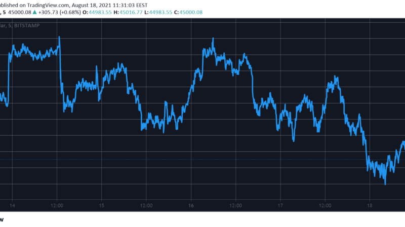 Correction Time: Bitcoin Slips Below $45K, $110B Wiped Off the Total Cap (Market Watch)