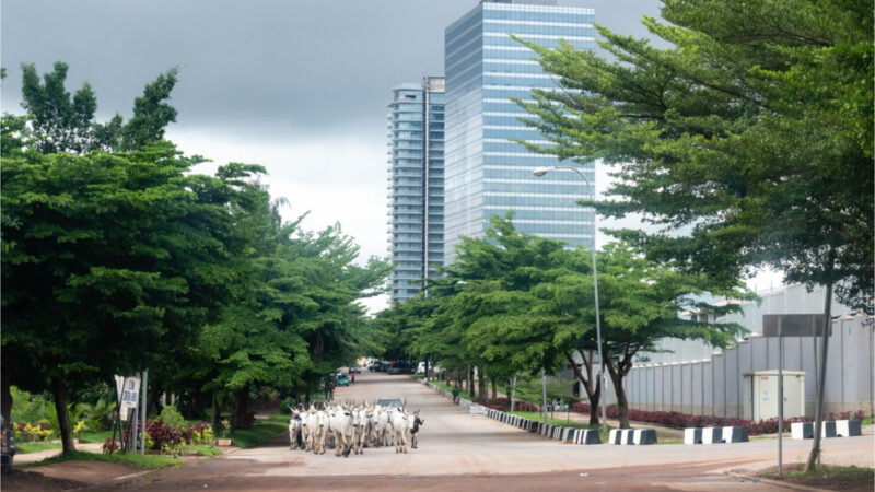 Report: Nigeria’s Digital Currency to Be Designated ‘Critical National Infrastructure’