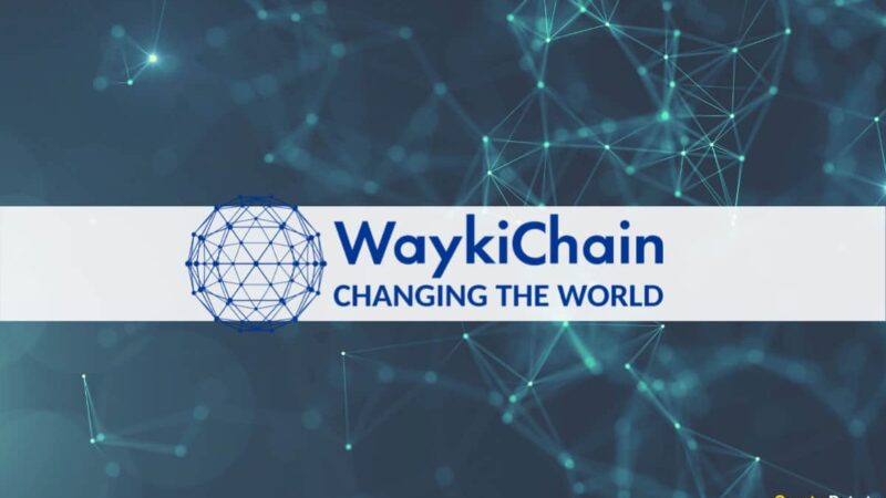 WaykiChain Foundation Announced Its Equity Dividends from Beekuaibao Investment