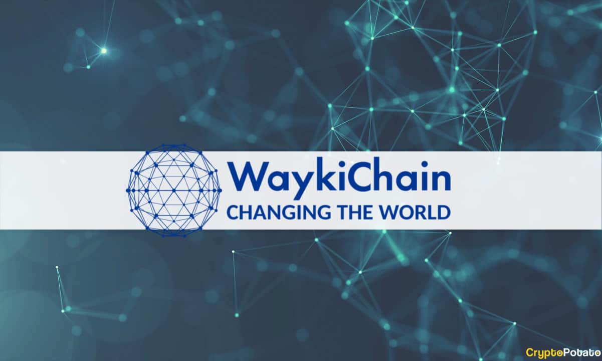 WaykiChain Foundation Announced Its Equity Dividends from Beekuaibao Investment