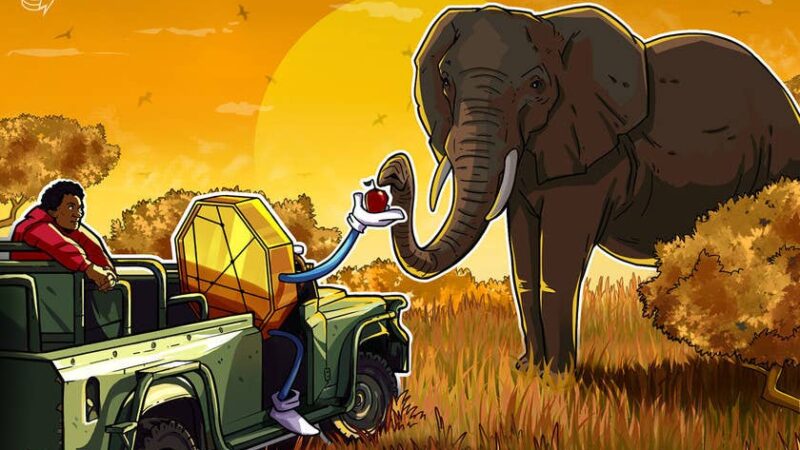Africa’s crypto market has grown by more than 1,200% since 2020: Chainalysis