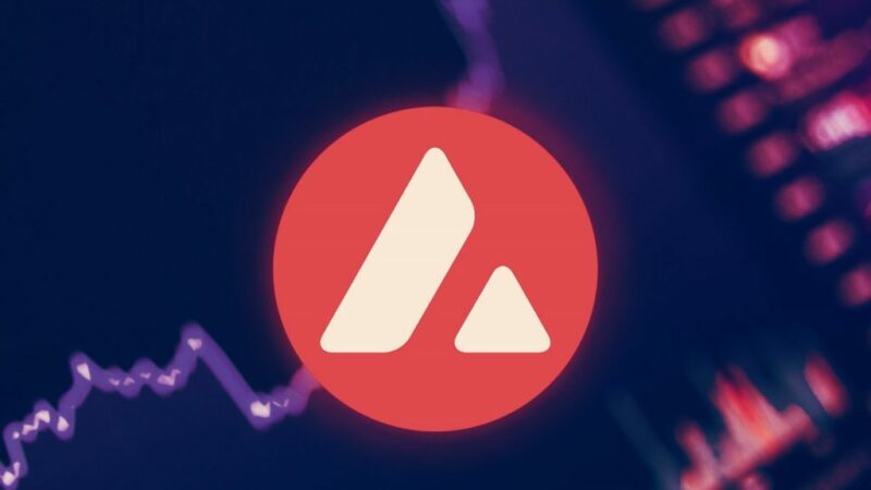 AVAX Price to Hit $100 By Dec 2021! Top Factors to Pump Avalanche!