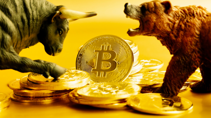 Bitcoin Millionaires Bullish on BTC Price! Predict $69K