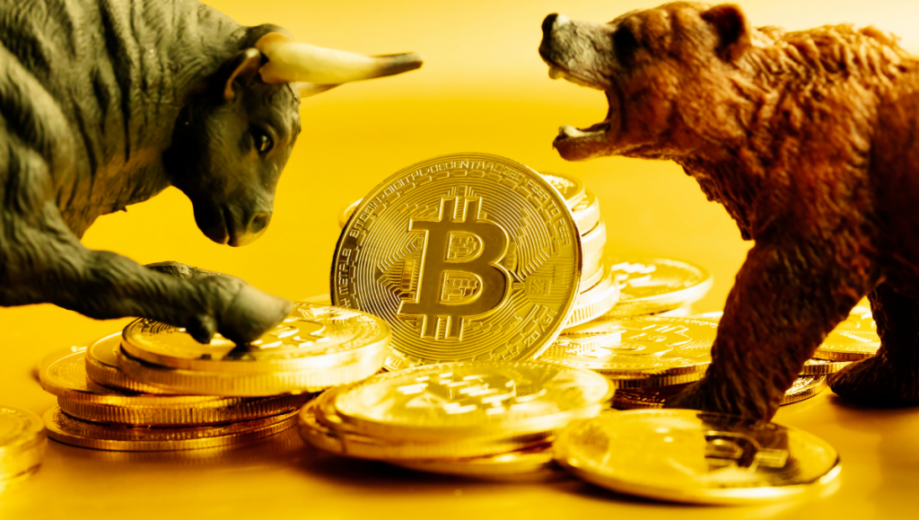 Bitcoin Millionaires Bullish on BTC Price! Predict $69K