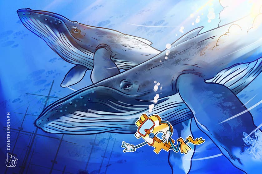 Bitcoin whales move ‘record’ BTC value as metric sounds alarm over price volatility