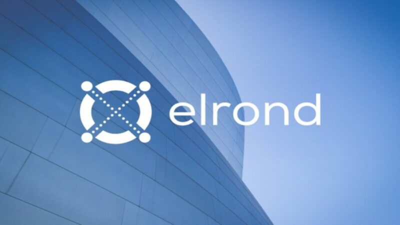 Elrond(EGLD) Price Could Smash $500 With Fewer Efforts Within This Bull Cycle!