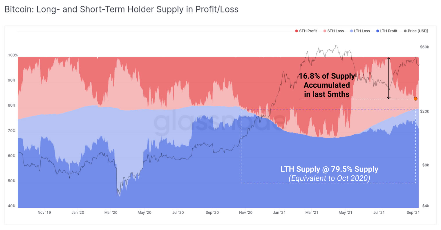 Macro Bitcoin Accumulation Continues as Price Reclaims $45K