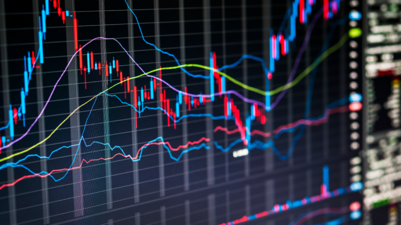 Polkadot, Kusama, COTI, and Cardano Proves to be a Good Long Term Investment!