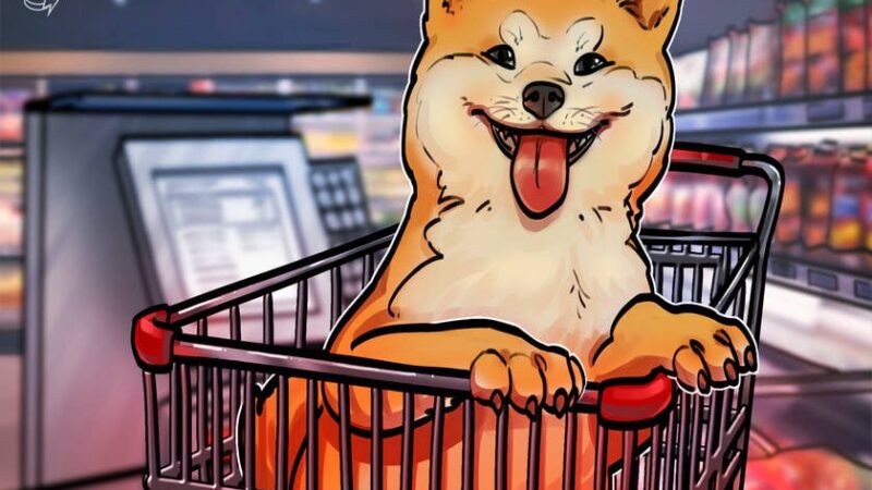 Shiba Inu (SHIB) jumps 40% on Elon Musk’s cryptic endorsement, Coinbase listing