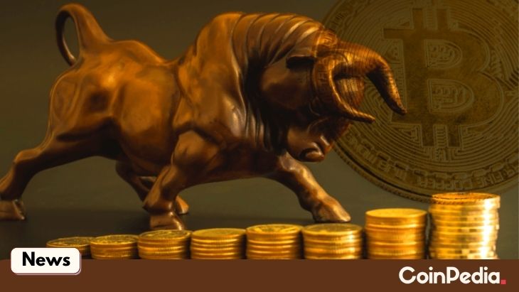 These Altcoins Are Poised To Undergo A Solana-Type Bull Rally Soon!