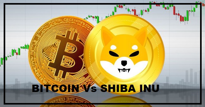 Alert! Here’s How Bitcoin Price Would Redirect the SHIB’s Cash Flow!