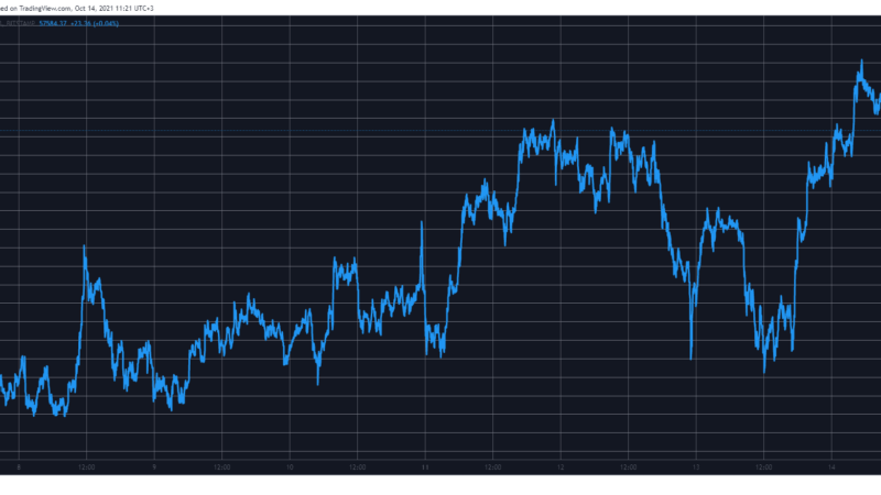 Bitcoin Charted 5-Month High Above $58K: Polkadot (DOT) Skyrockets 20% on Parachain News