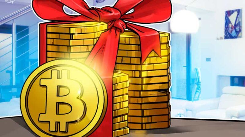 Brazilian toddler makes over 6,500% profit on her first Bitcoin holding