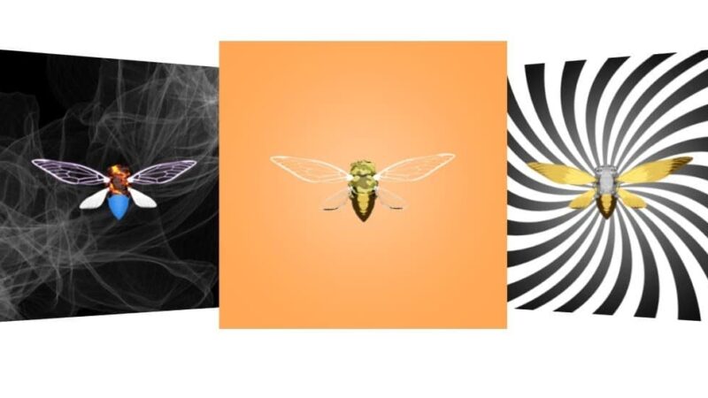 Cicadas Puzzle Club: Solving NFT Mysteries and Earning Rewards